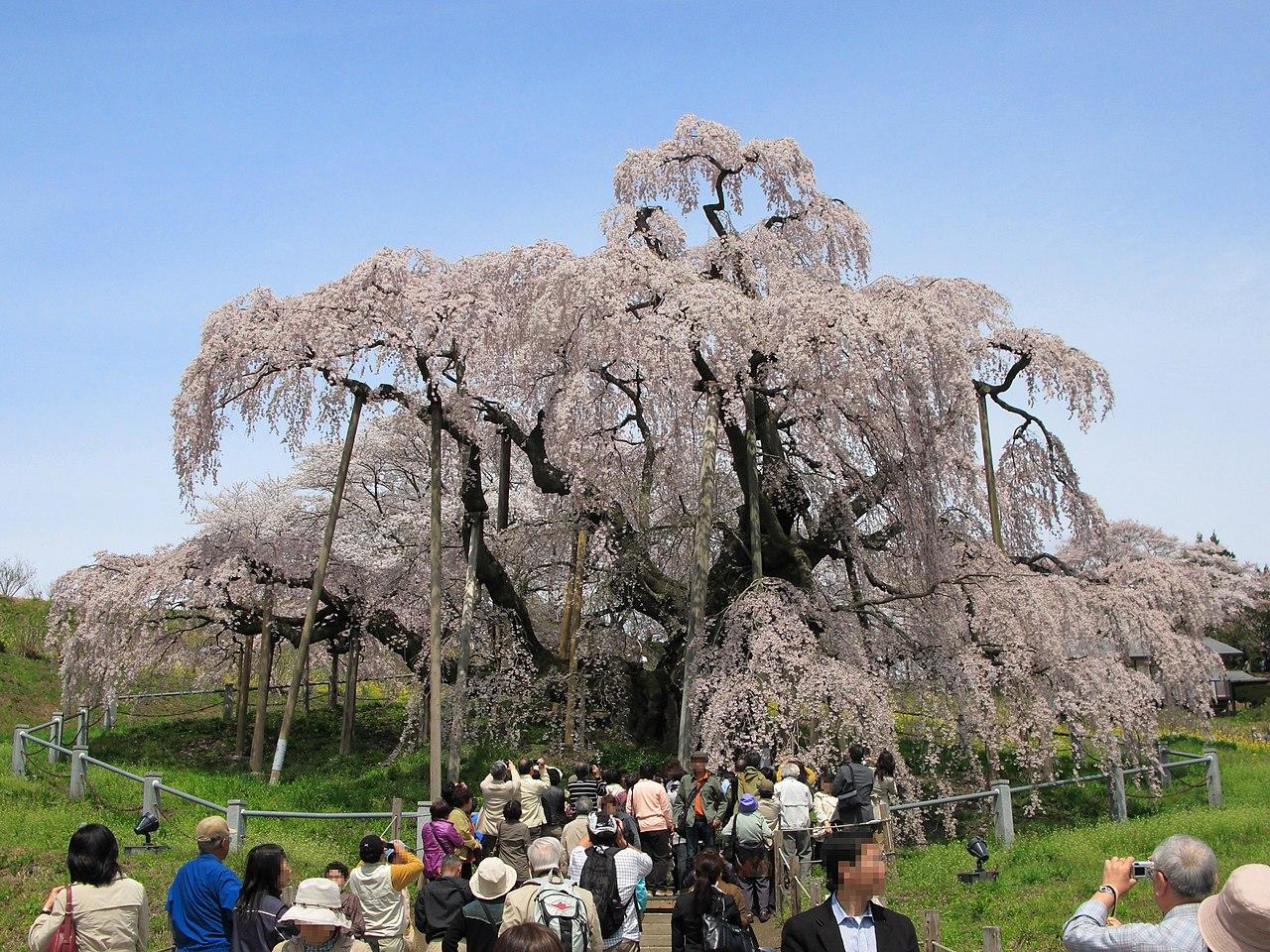 福島県の地域イメージ